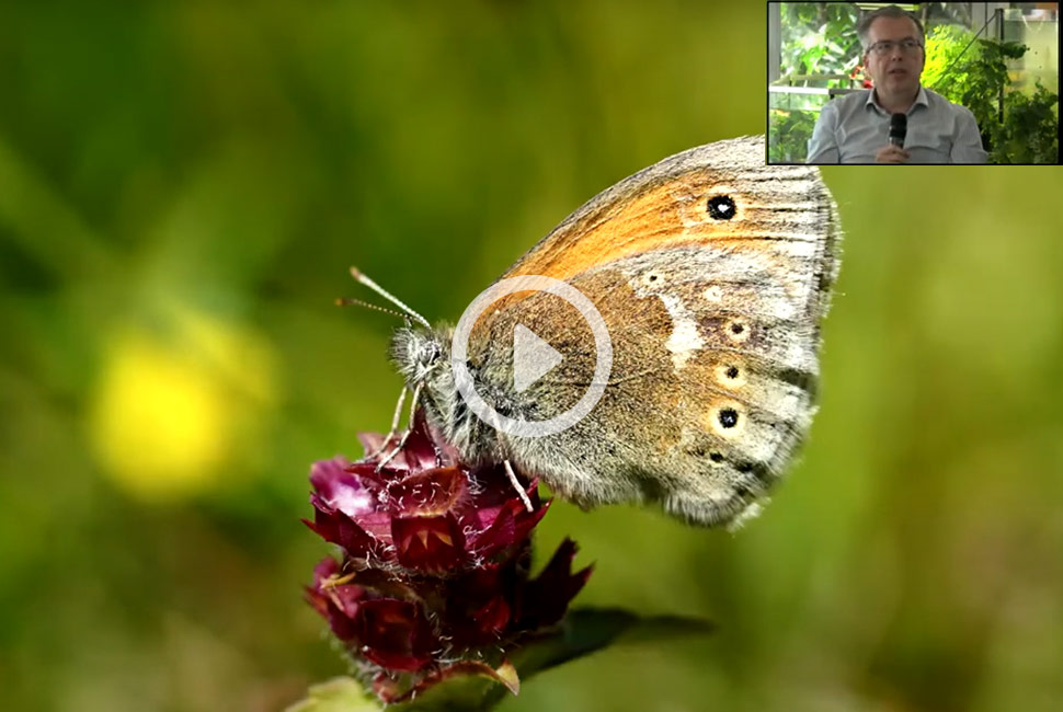 Video Artenvielfalt